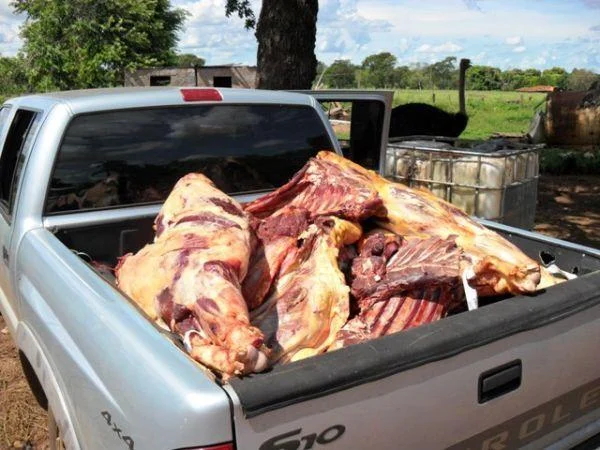 RO: Fiscalização é reforçada para combater abate e comércio ilegal de carne bovina
