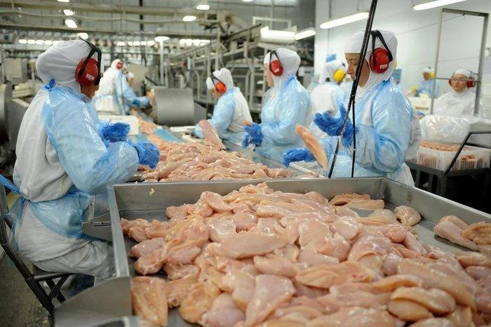 Preço da Carne de frango sobe menos que de outras proteínas