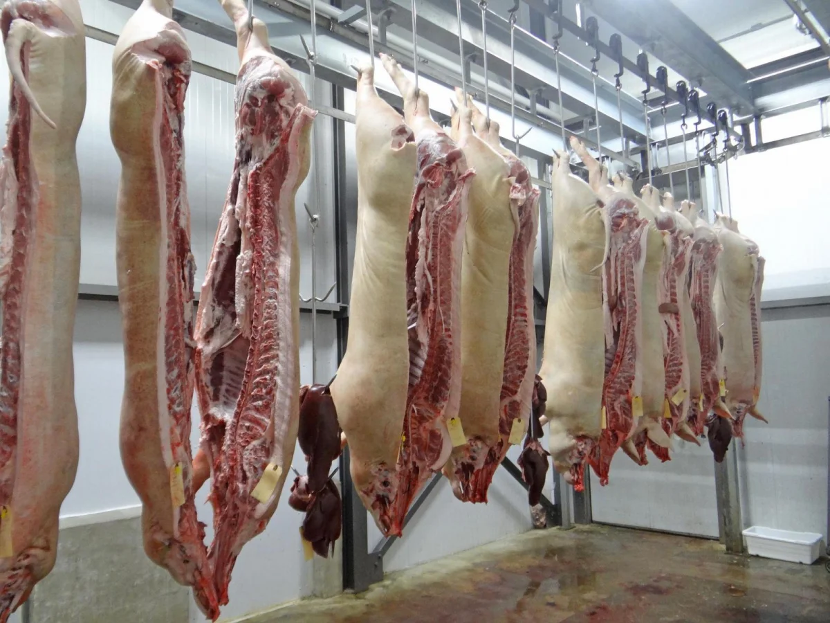 Exportação de carne suína cresce cerca de 40%