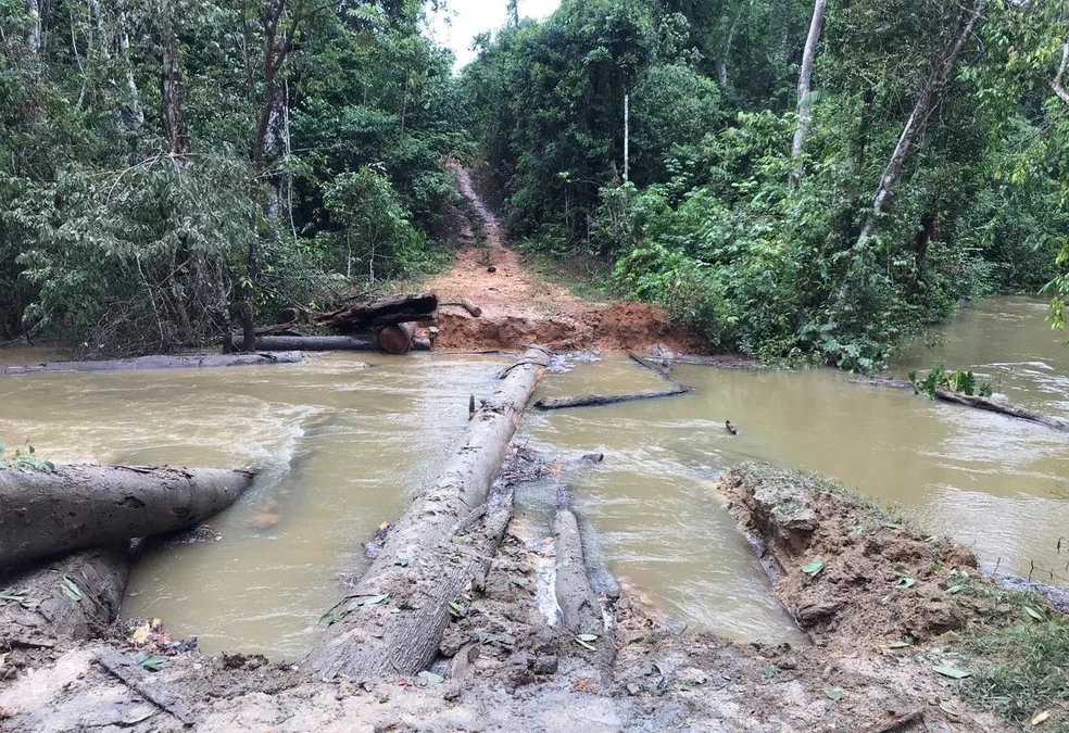 Operação na Terra Indígena Karipuna em Rondônia — Foto: PF/Divulgação