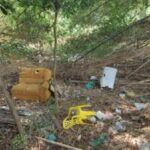Leitor TP: Lixo descartado no rio Pirarara gera revolta