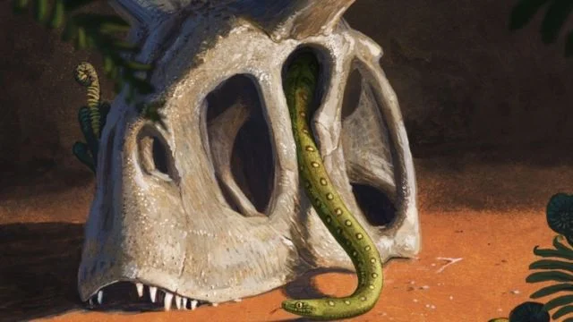 Pintura mostra cobra em ossada de dinossauro