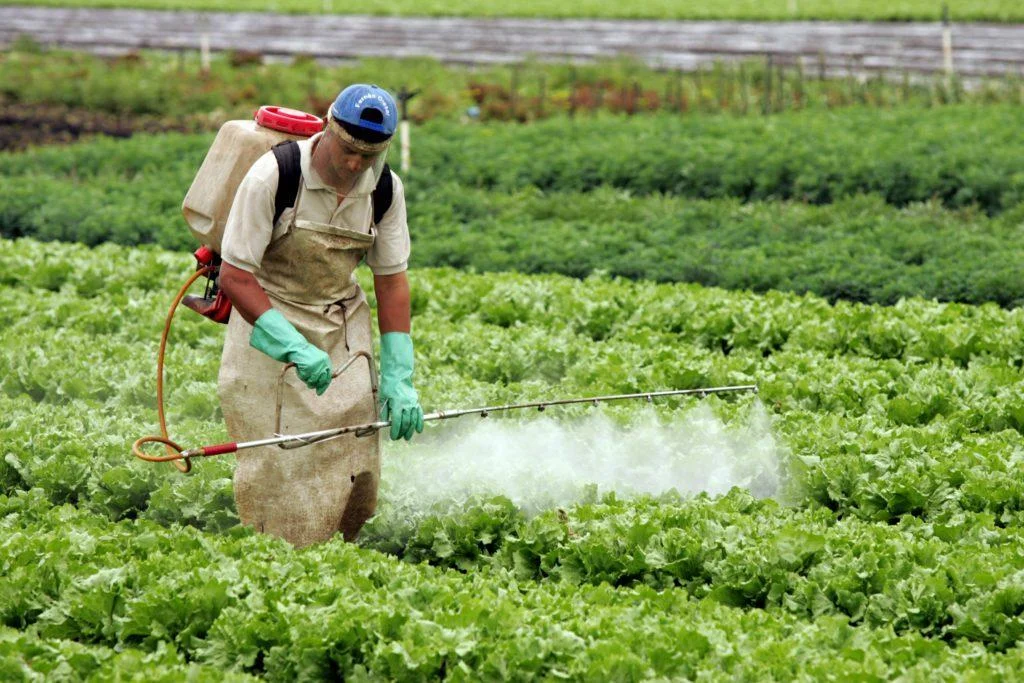 Idaron disponibilizará sistema online para maior controle do comércio e utilização de agrotóxicos