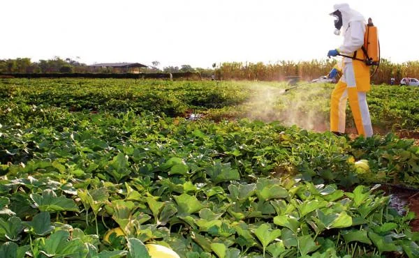 Idaron disponibilizará sistema online para maior controle do comércio e utilização de agrotóxicos