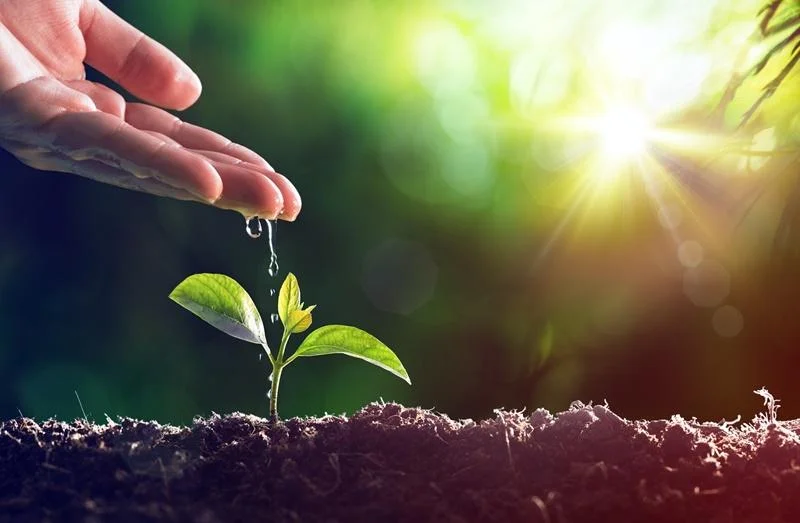 Produtor rural poderá regularizar cadastro ambiental pela internet