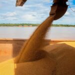 Gestão do Coronel Marcos Rocha eleva produção de grãos em Rondônia
