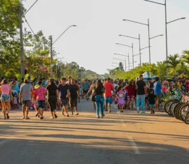 Galeria tribunapopular