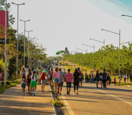 Galeria tribunapopular