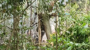 Destroços do vião Caravan que decolou do Aeroporto de Rio Branco na manhã deste domingo, 29, caiu na parte esquerda da pista após alguns minutos de sobrevoo Foto: David Sahid