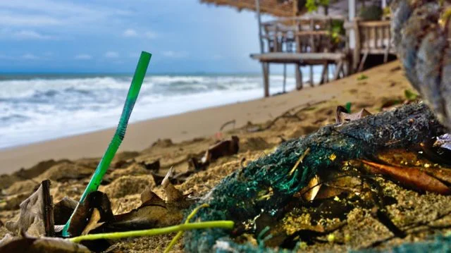 Canudos e pedaço de rede de pesca numa praia
