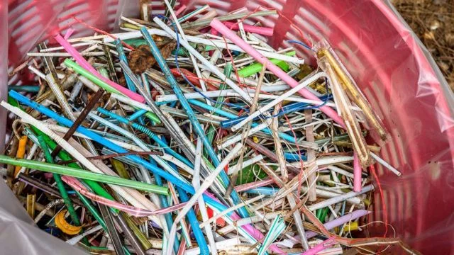 Lixeira cheia de canudos plásticos