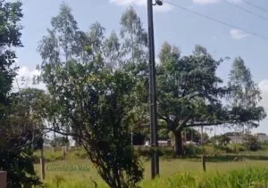 Galeria tribunapopular