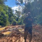 PF deflagra a Operação Murici contra crimes ambientais