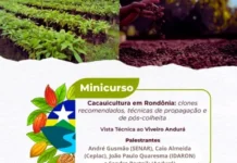 Minicurso sobre Cacauicultura em Rondônia será realizado em Cacoal no início de dezembro