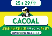 Castra + atende cães e gatos gratuitamente em Cacoal