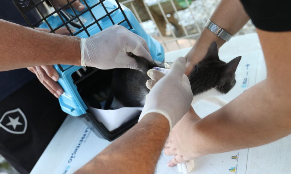 Posto de vacinação no Rio Comprido, região central da cidade. Rio inicia hoje(27) campanha de vacinação antirrábica para cães e gatos.