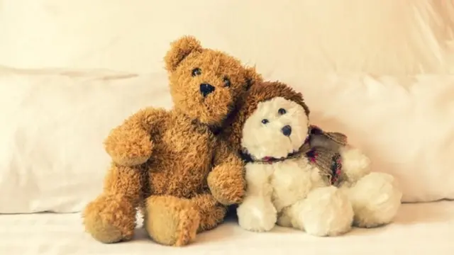 Bichos de pelúcia