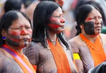 Campanha vai aplicar 89 mil doses de vacinas em territórios indígenas