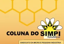 COLUNA DO SIMPI – MEI você caiu no golpe? Saiba como recuperar seu dinheiro roubado