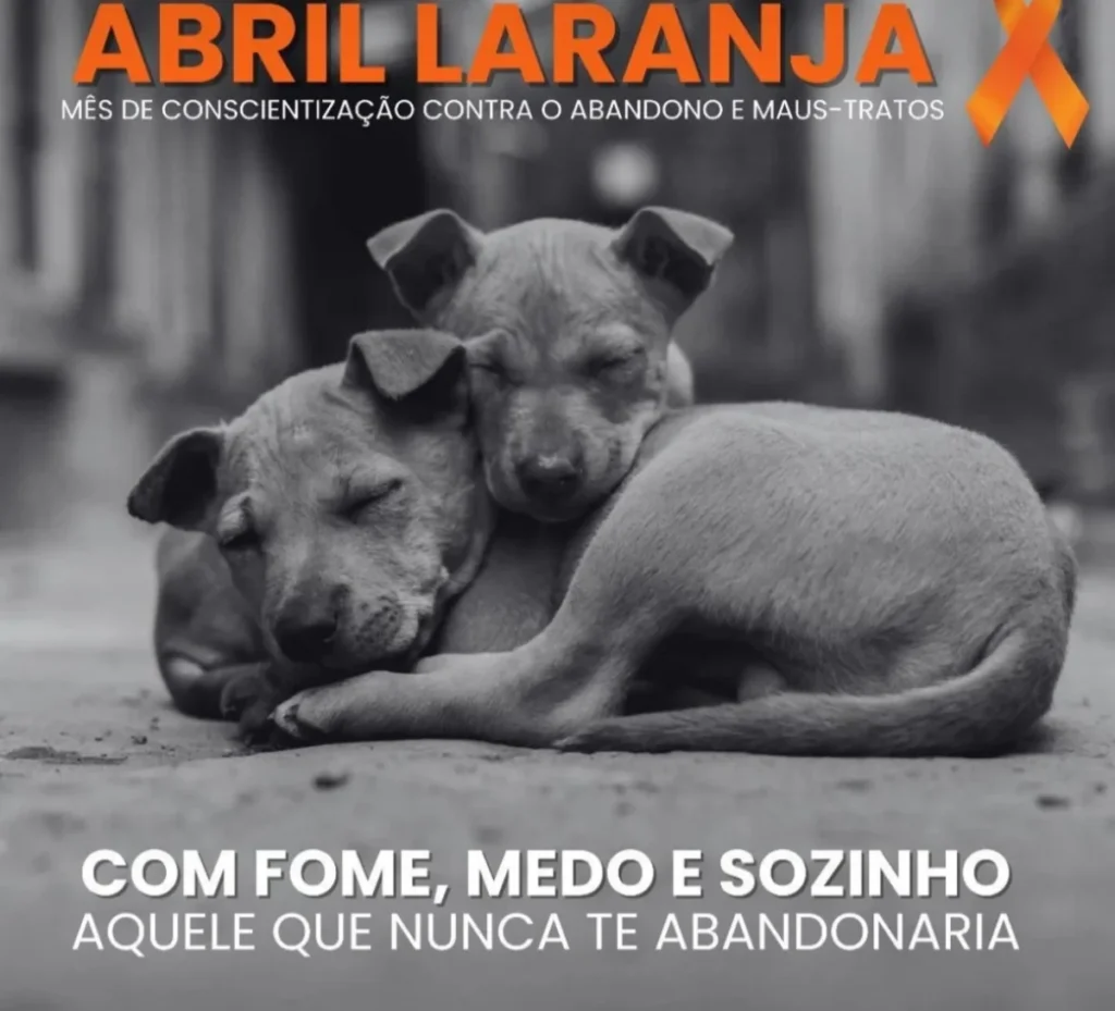 Pit Stop promove a conscientização contra abuso e maus tratos de animais nesta sexta (10)