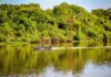 MEIO AMBIENTE: Rondônia conquista redução histórica do desmatamento