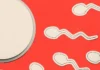Como a infertilidade masculina ainda não recebe a atenção necessária