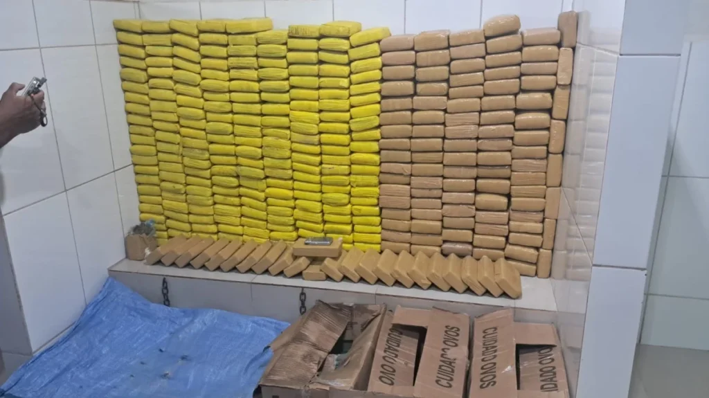 PM apreende mais de 300kg de entorpecentes em Cacoal