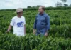 Projeto Raízes do Café recebe R$700 mil com apoio de Cirone
