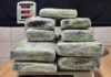 Em dois dias! PF prende mulheres com cerca de 20 kg de drogas no Aeroporto de Porto Velho