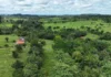 Área equivalente a quase 7 mil campos de futebol: Novo diagnóstico digital revela o sucesso da restauração ecológica em Rondônia