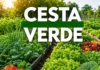 Prefeitura de Rolim de Moura divulga cronograma de entrega da Cesta Verde para o mês de agosto