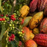 Indicações Geográficas de Rondônia entram em programa internacional para acelerar negócios