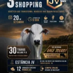 3º Dia de Campo e Shopping Nelore JV reúne genética, tecnologia e oportunidades de negócios em Pimenta Bueno