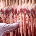 UE suspende entrada de carne brasileira, e setor corre para tentar reverter medida