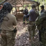 PF combate extração ilegal de madeira em terra indígena de Rondônia