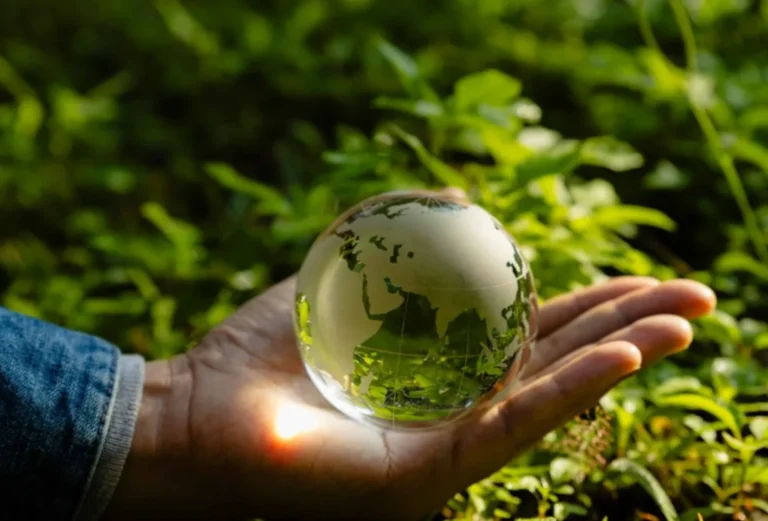 Brasil pode conciliar conservação ambiental e pogresso econômico, afirma CNI