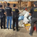 PF incinera mais de 1,3 tonelada de drogas em Rondônia