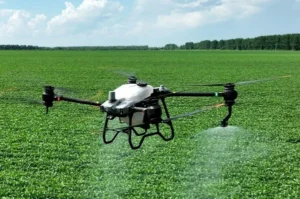 Pulverização com drones em lavouras de Rondônia levanta preocupação com a morte de abelhas e os impactos na fauna