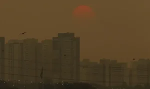 Concentração de gases do efeito estufa atingem níveis recordes