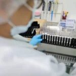 Anvisa autoriza teste em humanos de vacina brasileira contra a malária
